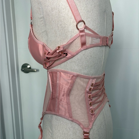 Honey Birdette Jerry Bra, Brief, and garter Blush Pink Bra Full Set - Picture 7 of 12